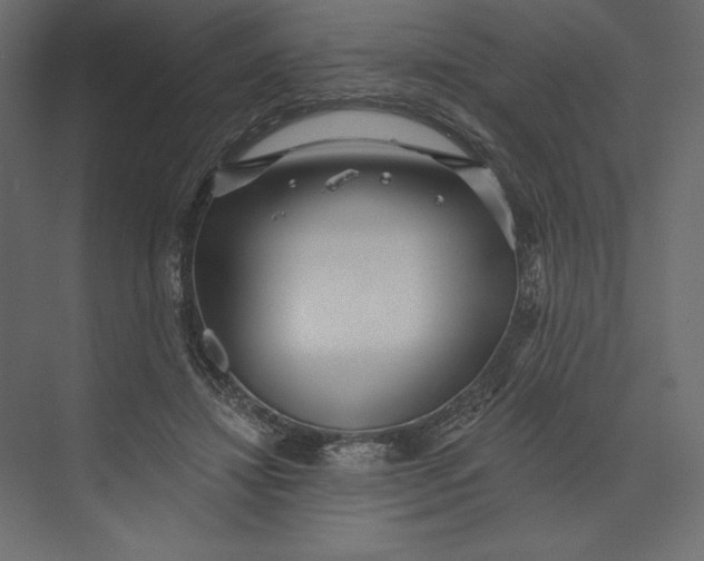 X0000073420452200608181125