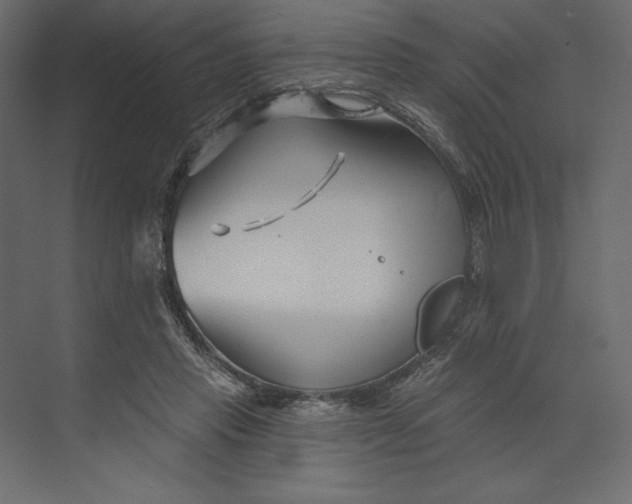 X0000073420453200608181125