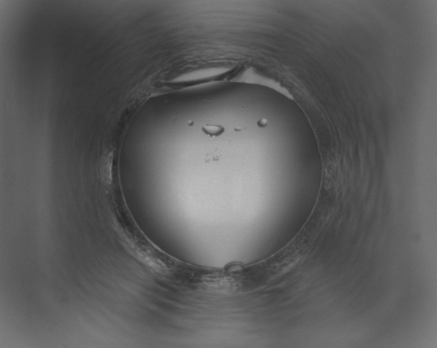 X0000073420454200608181125