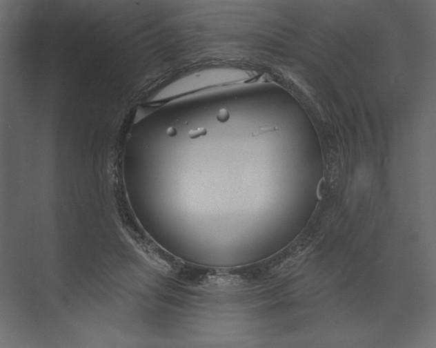 X0000073420455200608181125