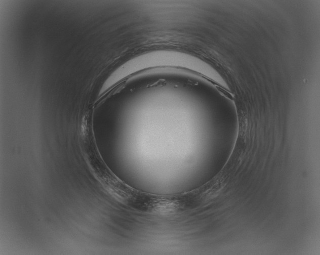 X0000073420456200608181125