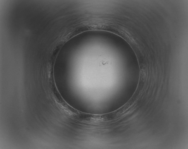 X0000073420458200608181125