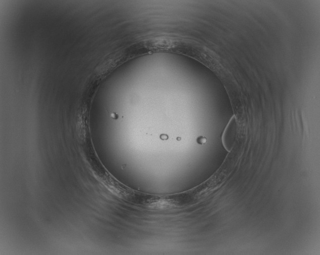 X0000073420460200608181125