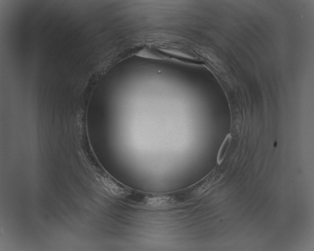 X0000073420461200608181125