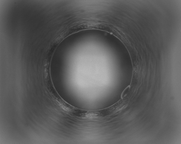 X0000073420462200608181125