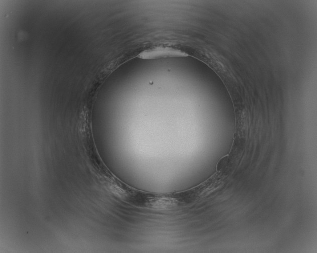 X0000073420463200608181125