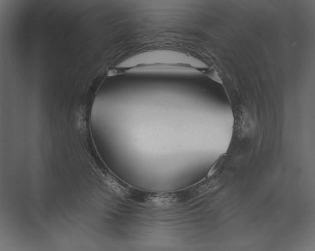 X0000073420466200608181126