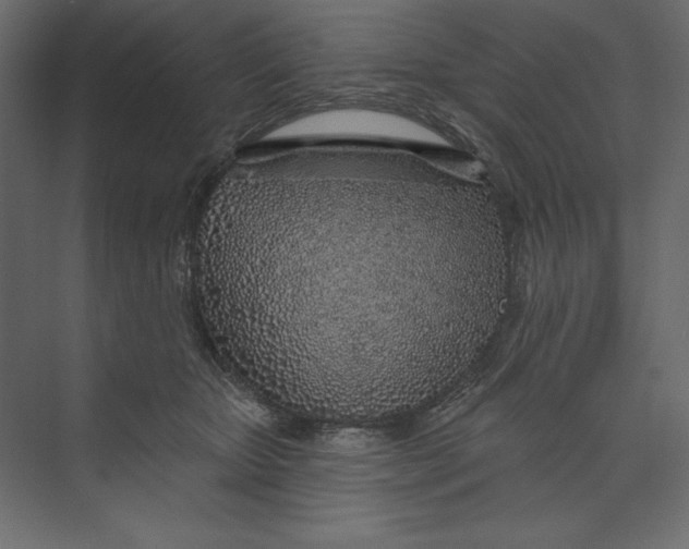 X0000073420467200608181126