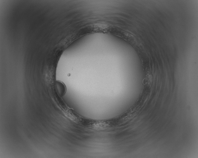 X0000073420468200608181126