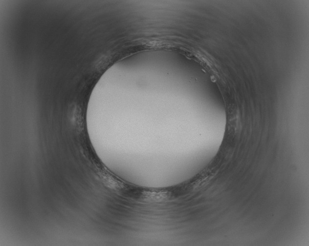 X0000073420469200608181126