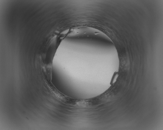 X0000073420470200608181126