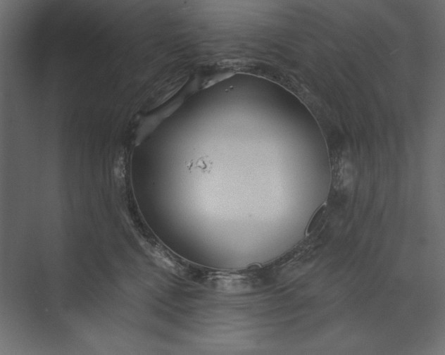 X0000073420472200608181126