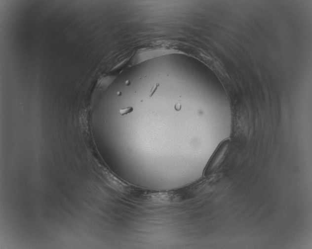 X0000073420473200608181126