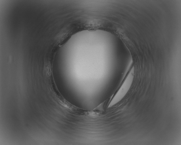 X0000073420474200608181126