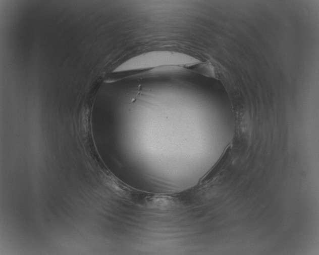 X0000073420475200608181126