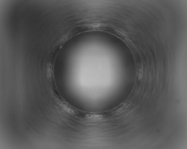 X0000073420476200608181126