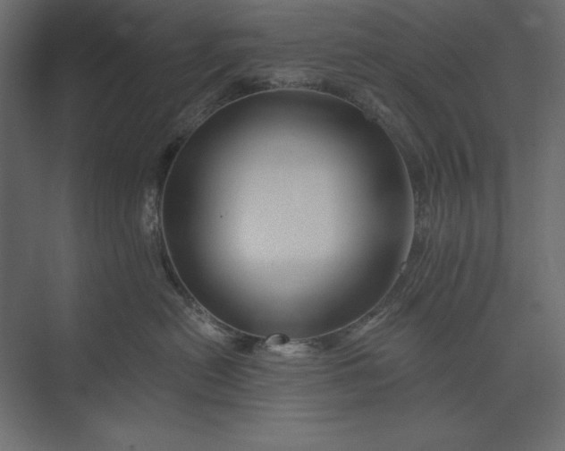 X0000073420478200608181126