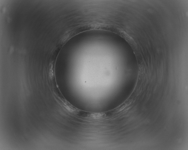 X0000073420479200608181126