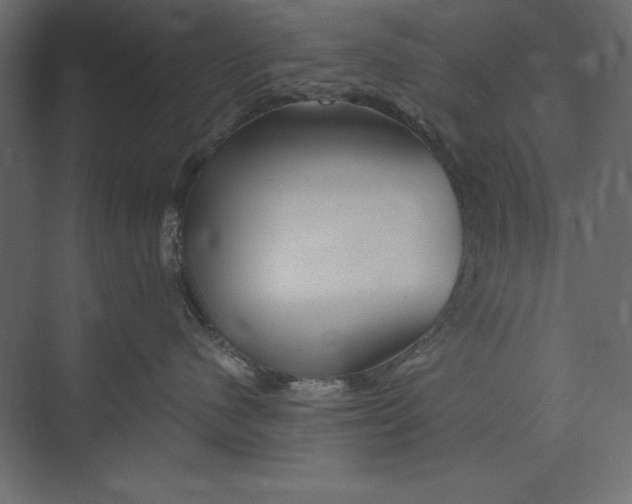 X0000073420480200608181126