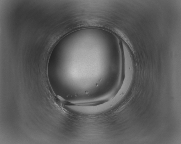 X0000073420481200608181125