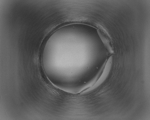 X0000073420483200608181125