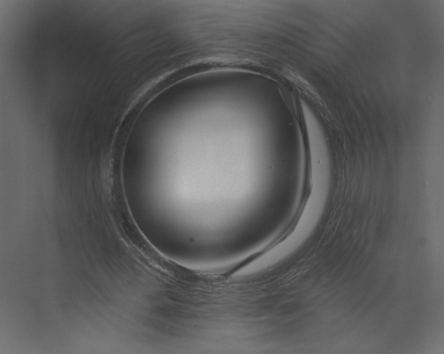 X0000073420484200608181125