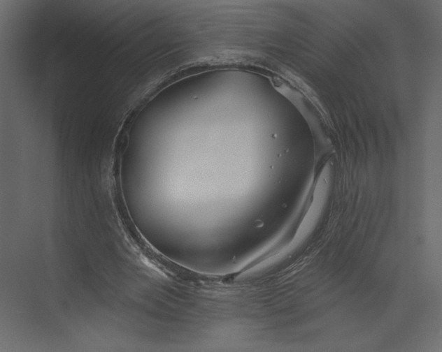 X0000073420485200608181125