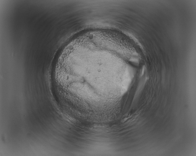 X0000073420487200608181125