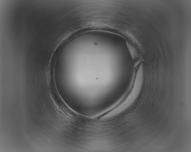 X0000073420488200608181125