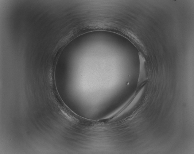 X0000073420489200608181125