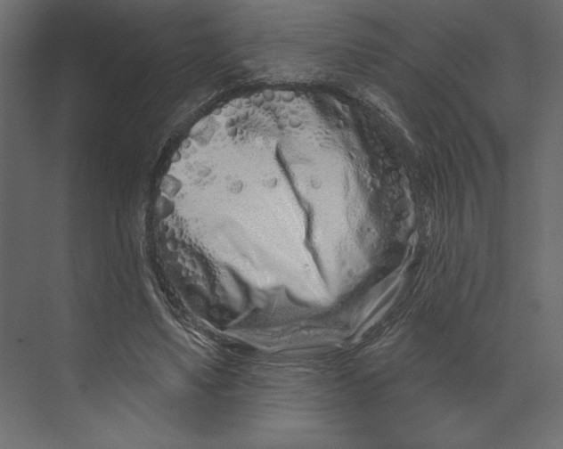 X0000073420491200608181125