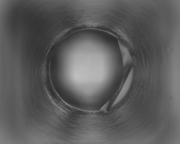 X0000073420492200608181125