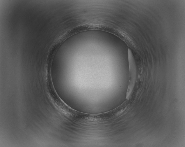 X0000073420494200608181125