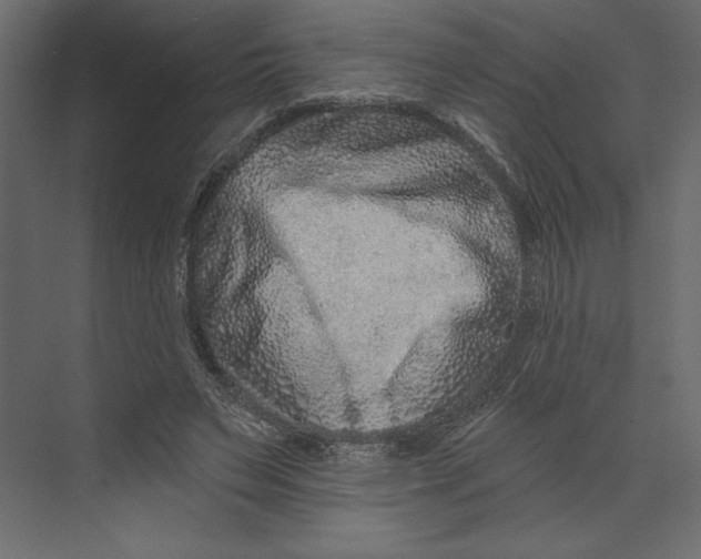 X0000073420495200608181125