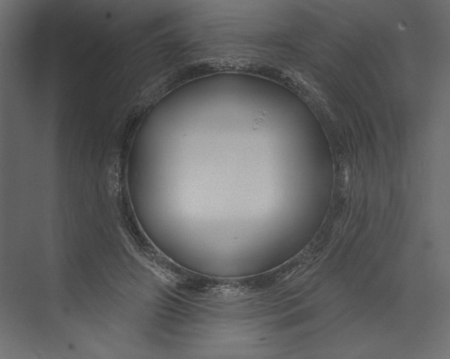 X0000073420498200608181125