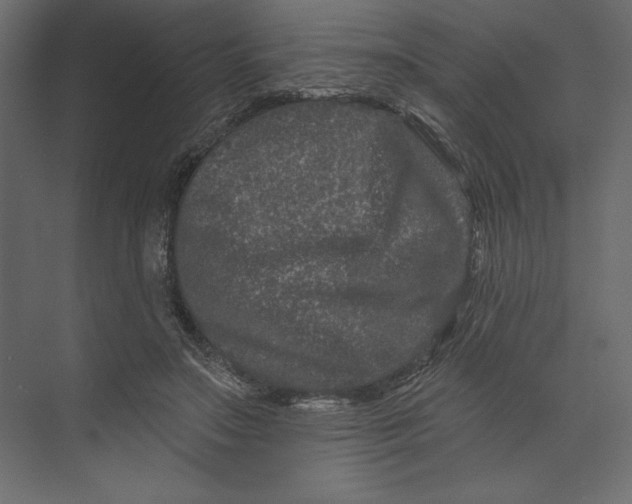 X0000073420499200608181125