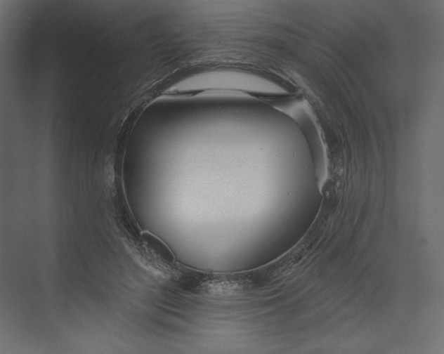 X0000073420500200608181125