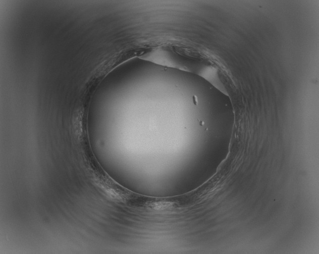 X0000073420501200608181125