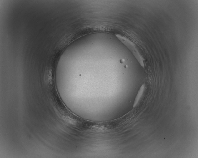 X0000073420502200608181125