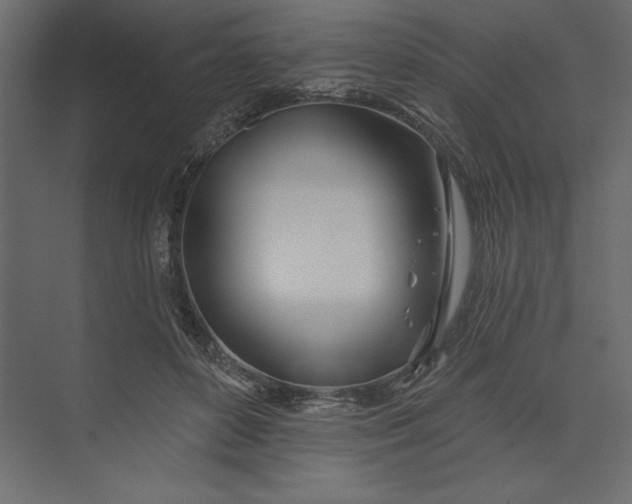 X0000073420504200608181125