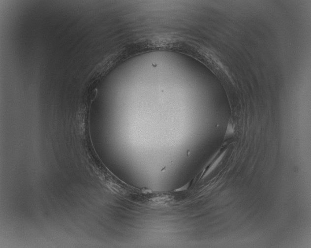 X0000073420505200608181125