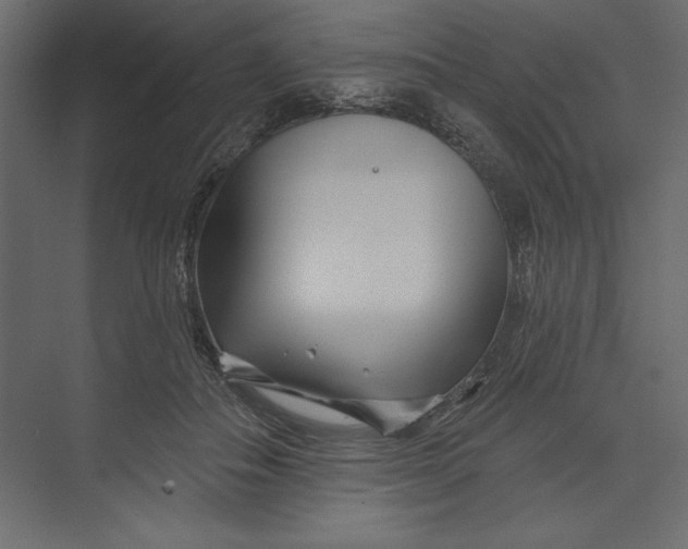 X0000073420506200608181125