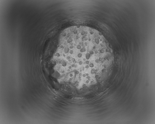 X0000073420507200608181124