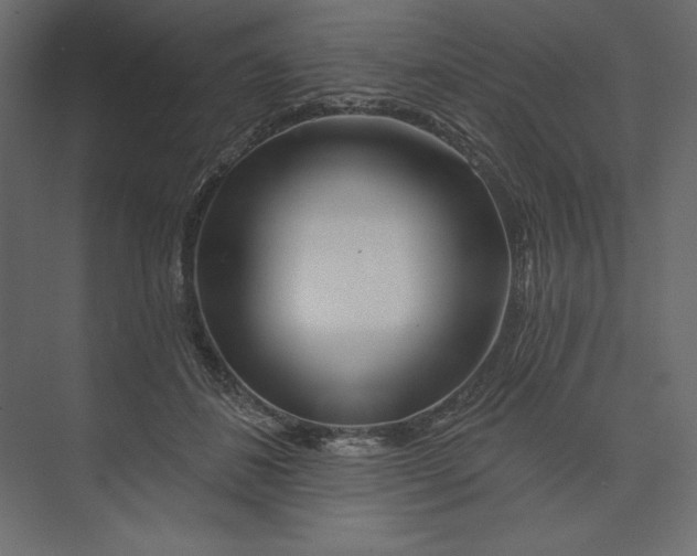 X0000073420508200608181124