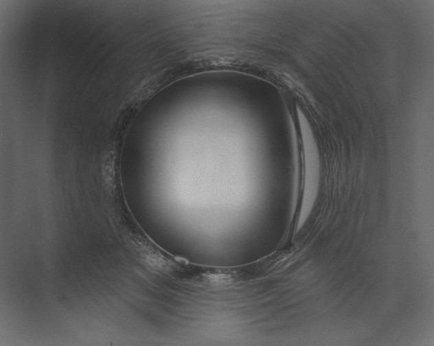 X0000073420509200608181124