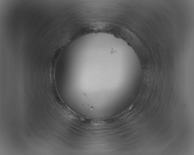 X0000073420510200608181124