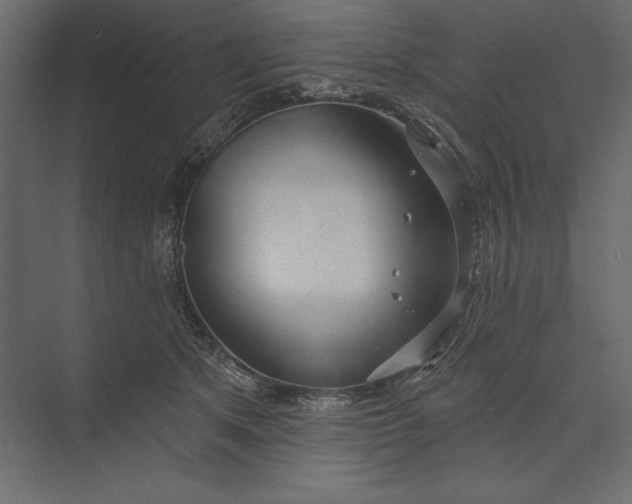 X0000073420513200608181124