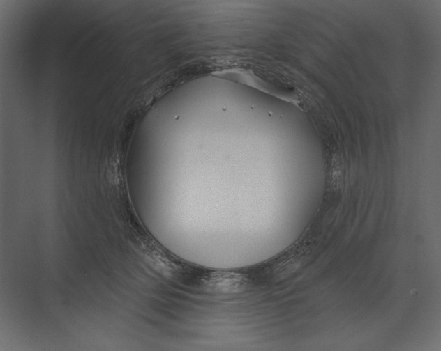 X0000073420514200608181124