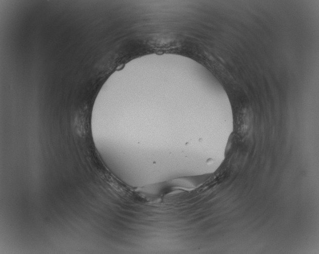 X0000073420515200608181124