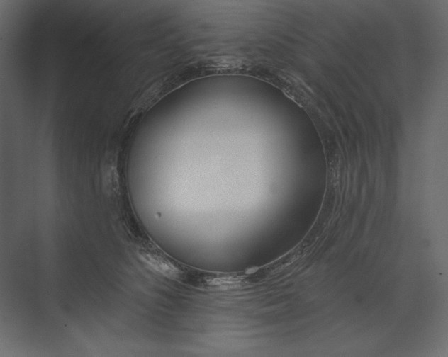 X0000073420516200608181124